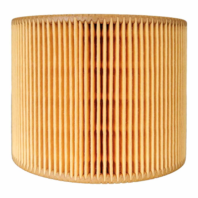 Filtro de aire 10 HP