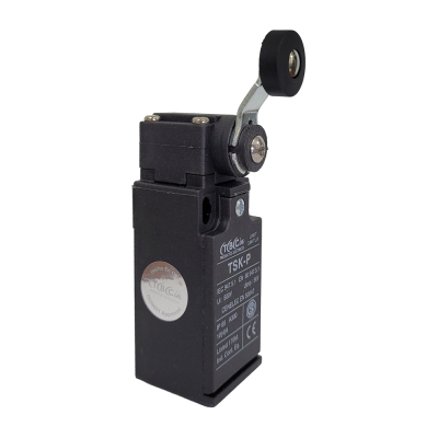 Límite de carrera XCKP-2118G11 Telemecanique leva corta, modelo HH1265