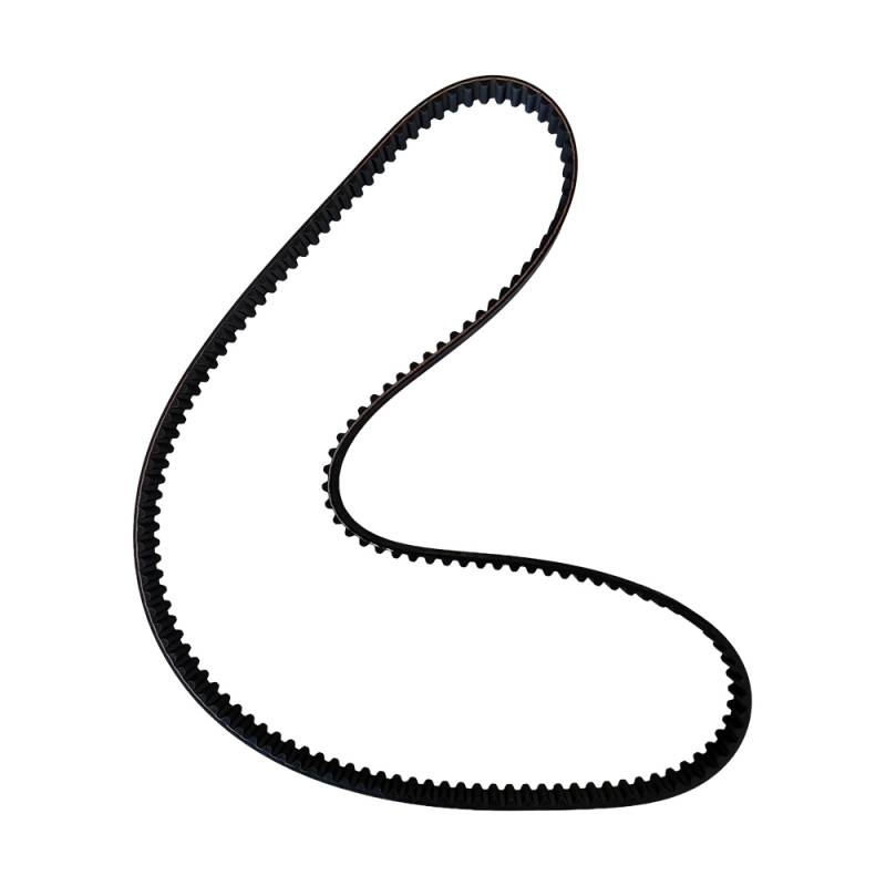 Correa S8M de incisor, 1168 x 20 mm  para Quadra