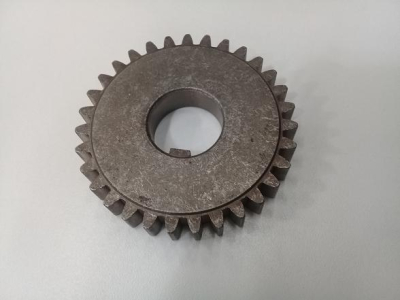 Engranaje Z31 para equipo Maggi, steff